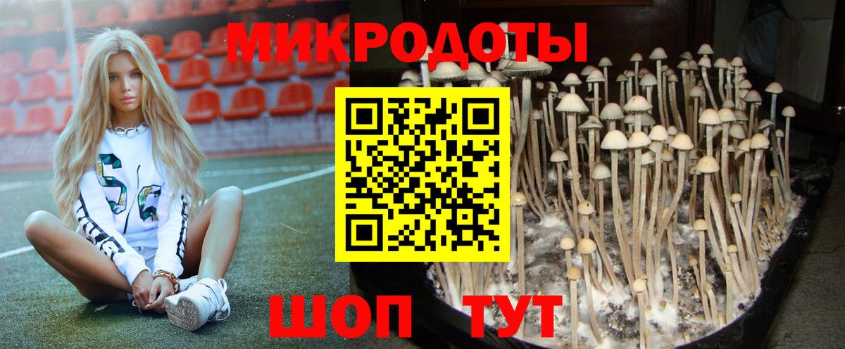 Псилоцибиновые грибы Cubensis Звенигород