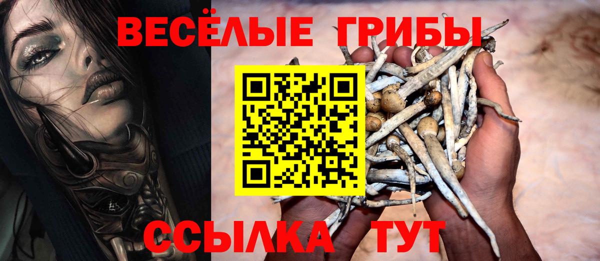 Псилоцибиновые грибы мицелий  Вход с VPN  Звенигород 
